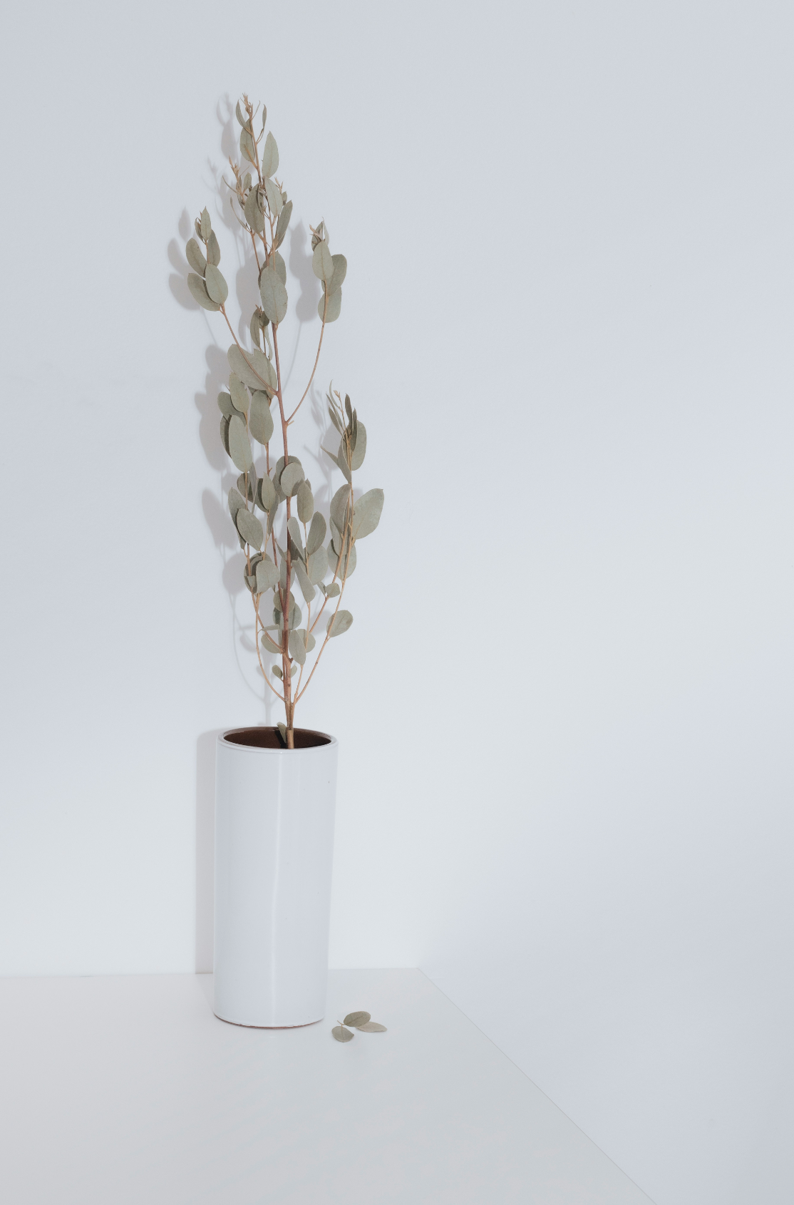 Sand Fog Eucalyptus Spearmint 100 ml Reed Diffuser - Image 4