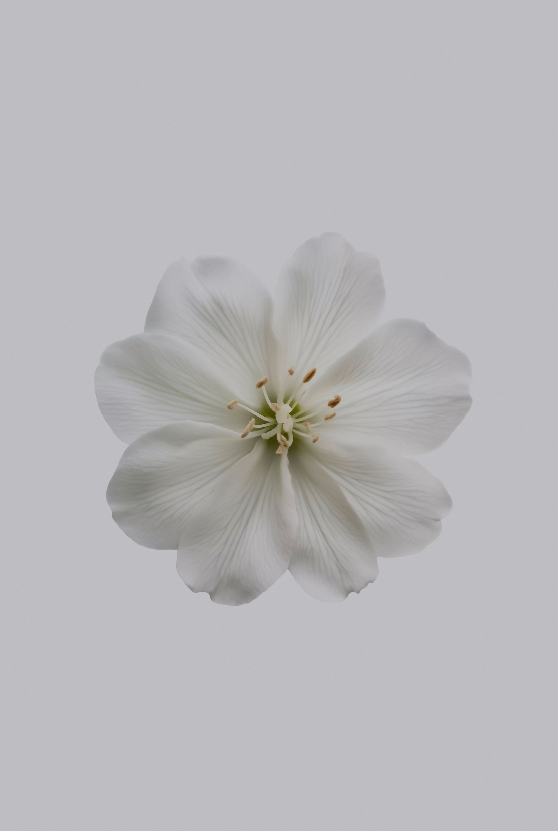 Sand Fog Fresh Jasmine 180 ml Reed Diffuser - Image 2