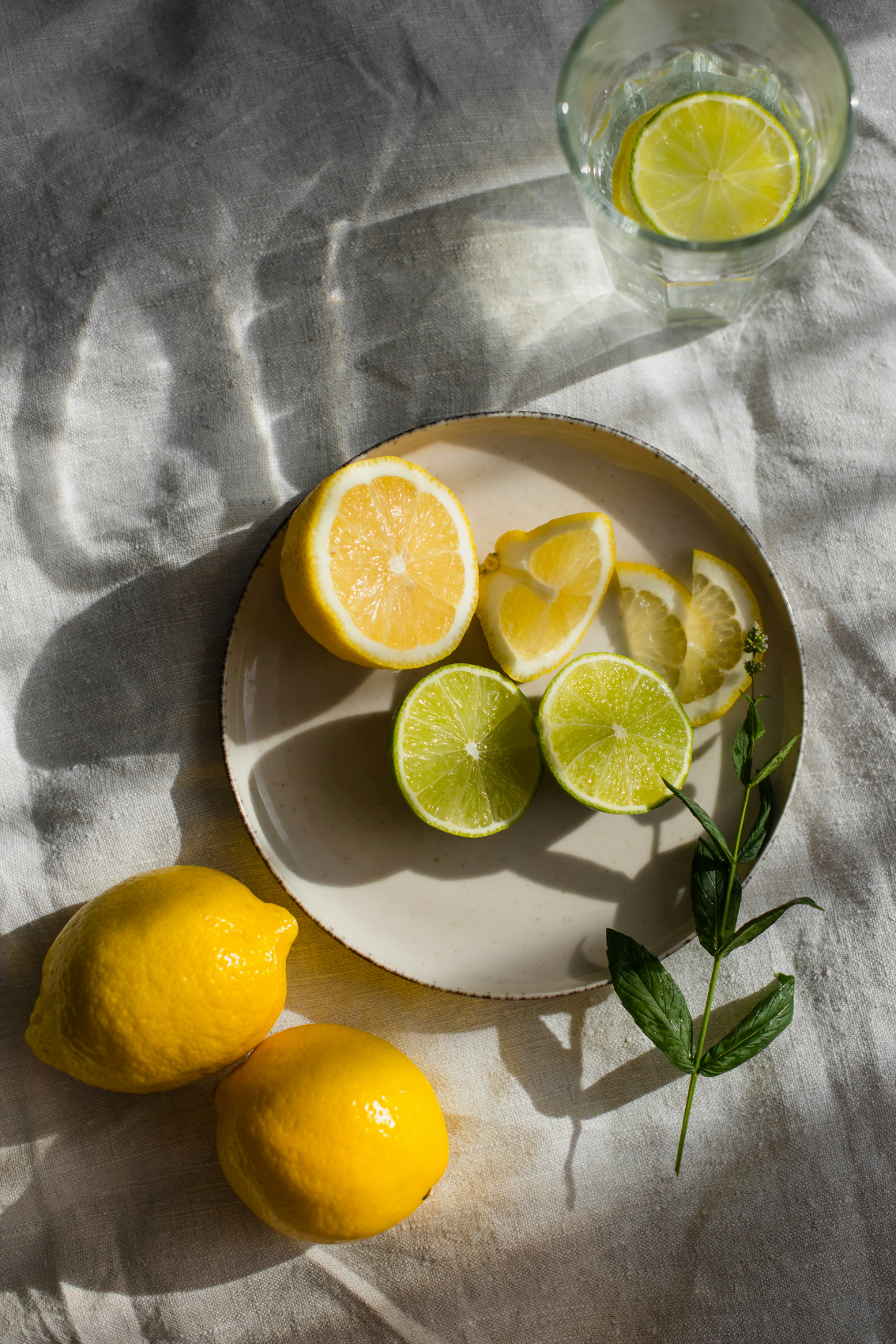 Sand Fog Limoncello 100 ml Reed Diffuser - Image 3